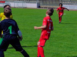 Hillen Cup 2024